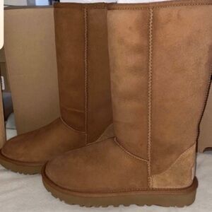 - UGG CLASSIC TALL
